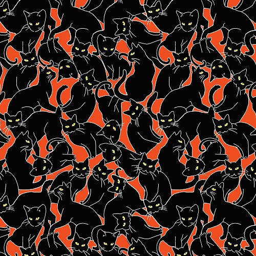 Orange Cat Magic 