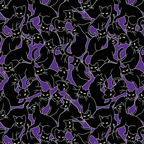 Purple Cat Magic 