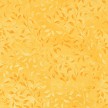 Golden Yellow Climbing Vine 